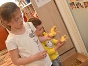 Állatsimogató a Vitálcenterben…