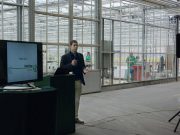 Folyamatos fejlődés, állandó korszerűsítés a Grow Groupnál…