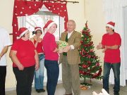 Pálmás ajándék karácsonyra…