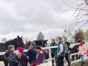 Az első Póni Piknik a Wonderland lovasfarmon…