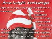 Árva kutyák karácsonya Szentesen…