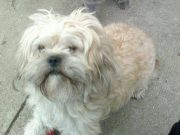 Elveszett Cipzár!…