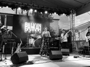 Nagyszabású koncert nemzeti ünnepünk alkalmából…