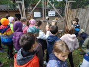 Készülnek a télre a Vadvédelmi Mentőközpontban…