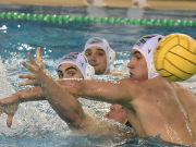 Tovább menetel a metALCOM…