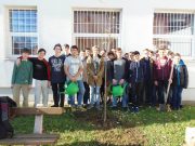 Fát ültettek a kilencedik osztályosok a Pollákban…