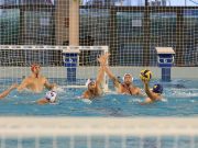 Férfi OB I: a Vasas otthonában ugrunk medencébe…