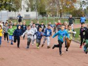 3. Ovis Reformáció futás…