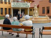 Idősek hete a programsorozat a Parkerdő Otthonban…