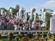 Megkezdődött a 16. Kettesfogathajtó Világbajnokság Fábiánsebestyénen (képgalériá…