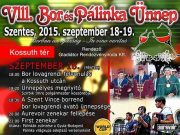 Bor és Pálinka Ünnep Szentesen…