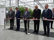 Hagyomány és a megújulás a szentesi paradicsomtermesztésben…