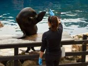 Ilyen nem lesz biztos Szentesen…