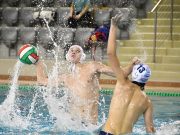 Szentesi győzelemmel zárult a Visegrád Kupa…