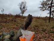 Barát László országos bajnok…