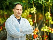 DélKerTÉSZ: véget ért az olcsó élelmiszerek korszaka…