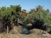 Elkezdődik a Nagyvölgy csatorna takarítása…