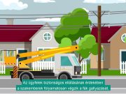 Elkezdődik az őszi gallyazás…