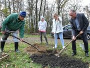 Felajánlásból négy hársfával bővült Lapistón a játszótér…
