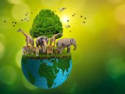 Firenzében, egy 1931-ben tartott környezetvédelmi konferencia keretén belül merü…