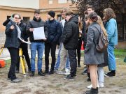 Hivatáskeresés a HMG-ben…