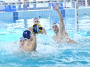 Képgaléria férficsapatunk Honvéd elleni kupa visszavágójáról. Vidovics Feren…