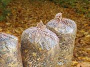 Későbbi időpontban szállítják el a zöldhulladékot…