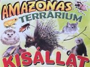 November 12-én az Ifjúsági Házban Kisállat Bemutatóra várják az érdeklődőket!…