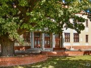 Olimpiai tölgy és Petőfi iskola – Szentes