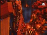 Pat Metheny Group – Vienne, France Théâtre Antique Jazz à Vienne 2002.07.03…