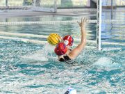 Ritkán készül ilyen kép…