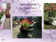 „Virágszínvonalasabb Szentesért” verseny nevezettjei (videó)…