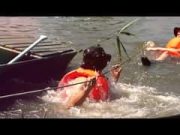 РОЗБИРАЄМО….