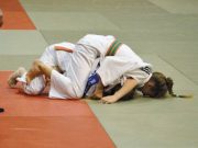 Dzsúdós sikerek…