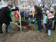 Elindult a VárosFa program…