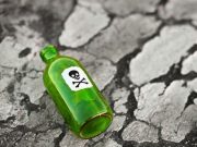 Fagyállóval mérgezte meg az apósát…