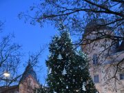 Köszönetnyilvánítás…