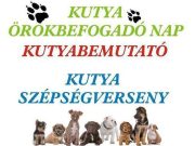 Kutya örökbefogadó nap Szentesen…