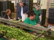 SZENTESI HŐSÖK: Janó Imre már nem cserkész, hanem kertész…