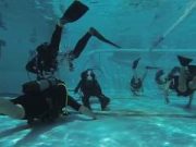 További videókat fedezhetsz fel a Watch funkcióban….