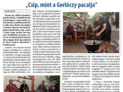 A hét egyik legnépszerűbb cikke III….