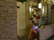 További videókat fedezhetsz fel a Watch funkcióban….