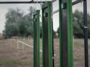 További videókat fedezhetsz fel a Watch funkcióban….