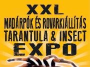 2023. január 27-én 15-18 óráig Madárpók és Rovarkiállítás lesz a Művelődési és I…