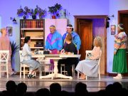 Furcsa pár (női változat) – Még két este a Tóth József Színház színpadán…