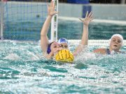 Győztes meccsképek a Tatabánya elleni bajnokiról. #hajráSzentes Vidov…