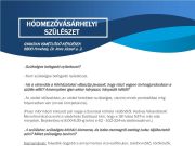 Hogyan és milyen információkkal tudunk segíteni a szülés előtt álló kismamáknak …