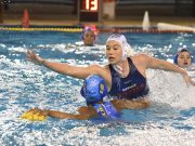 Hungerit Szentes – ZF-Eger 9 – 10 (képek)…