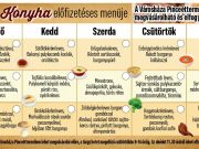 Jövőheti menük…