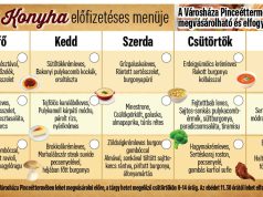 Jövőheti menük…